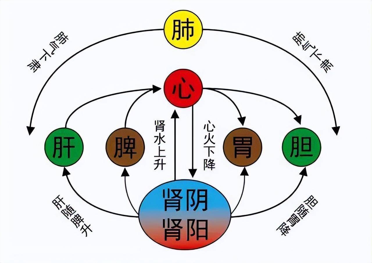 金鸡独立引火归元图片