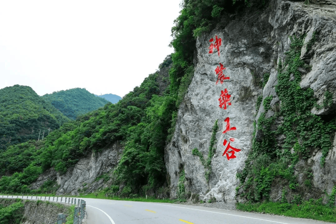 【楚商动态】楚商联合会"康养基地"授牌仪式在神农药王谷举行