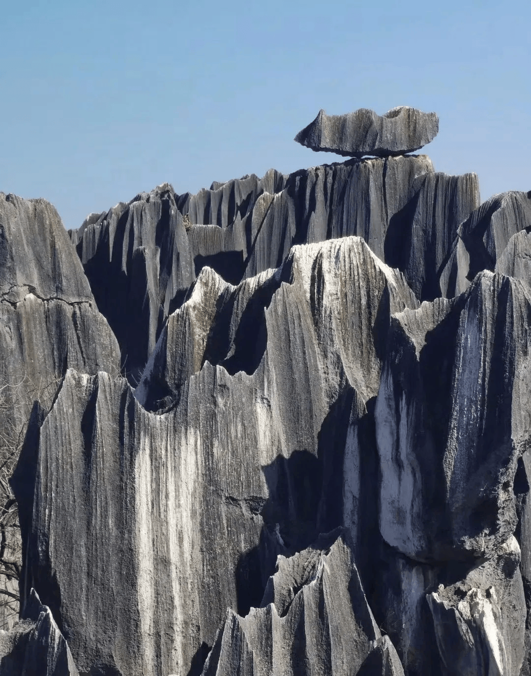 【媒体看石林】石林打造"旅游 研学"产品,激发消费新动能_风景区_活动