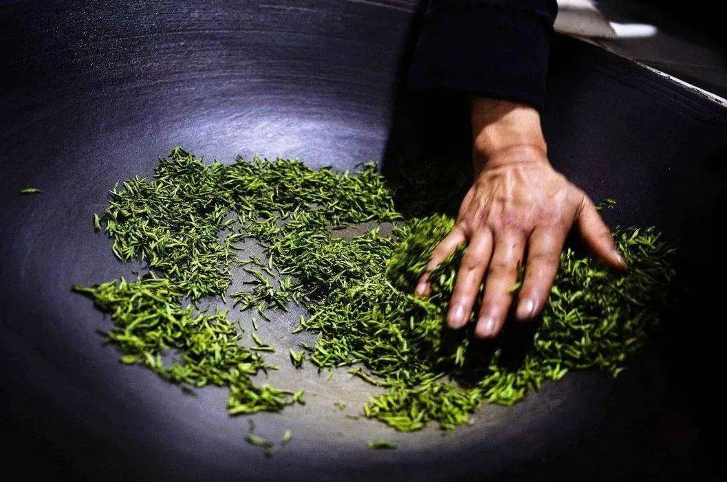 茶科普 | 龙年品"龙"茶系列——何为乌龙茶?