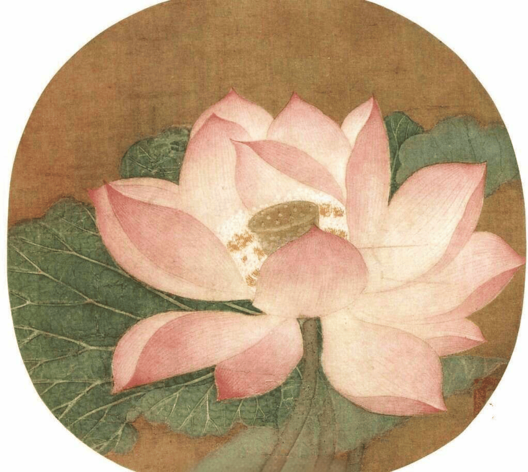 人的人品道德行为规范联系在一起,所谓"出淤泥而不染"