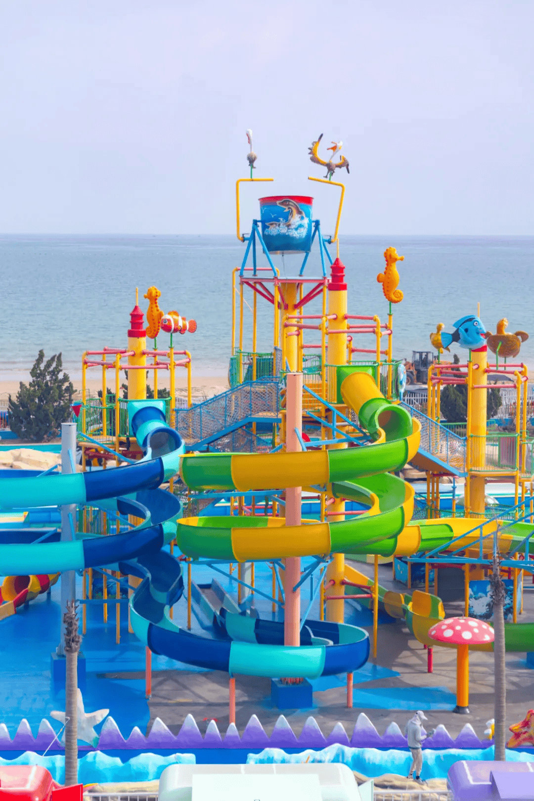威海银滩海洋公园正式开业啦!_游客_景区_水上乐园