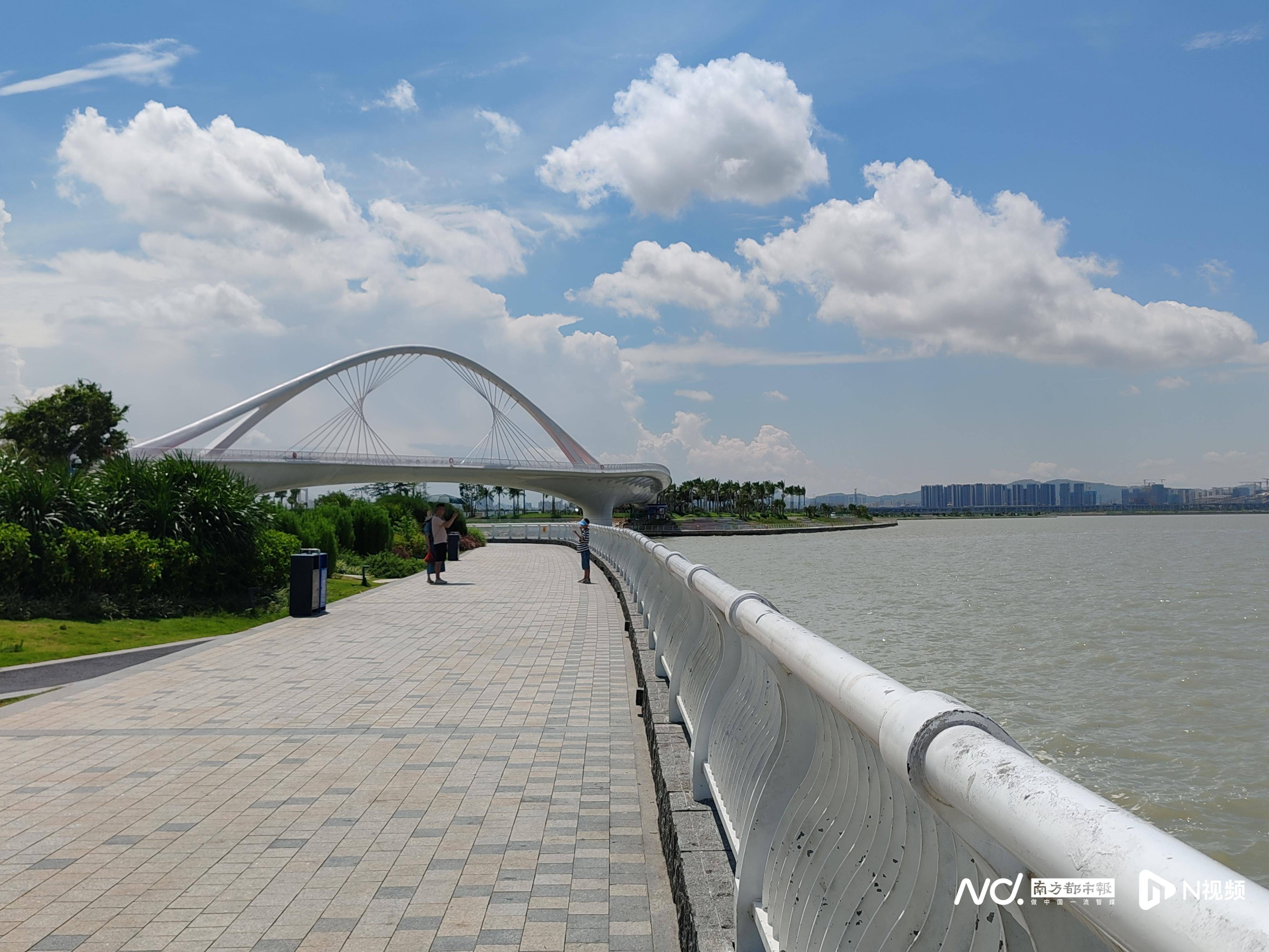 交椅湾水质多年相对较差,东莞滨海湾如何做好"水文章"?_监测_海域_整