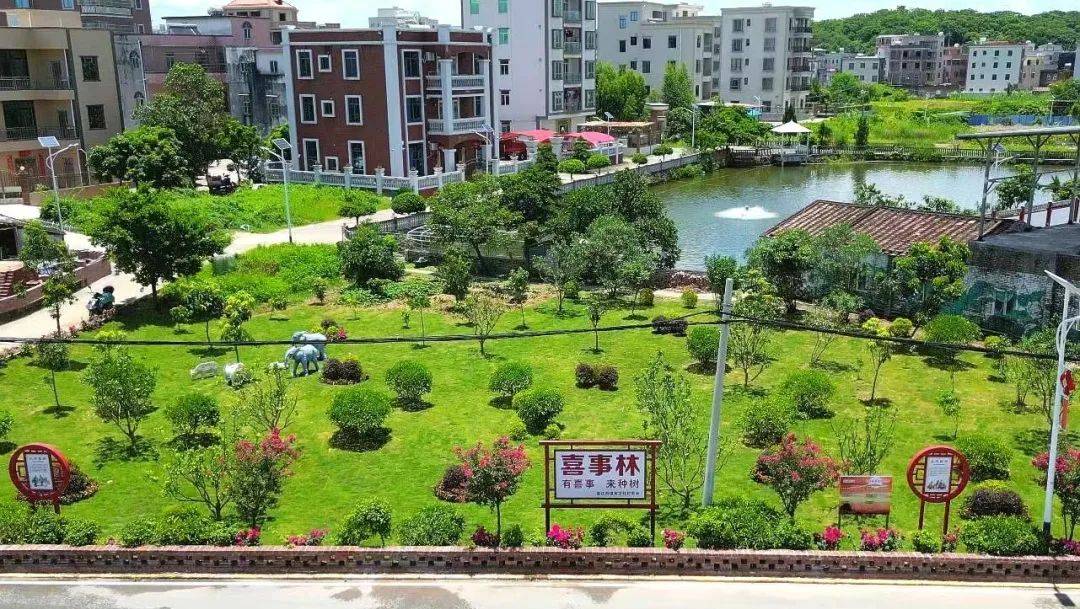 化州这一条村,刷屏全茂名!
