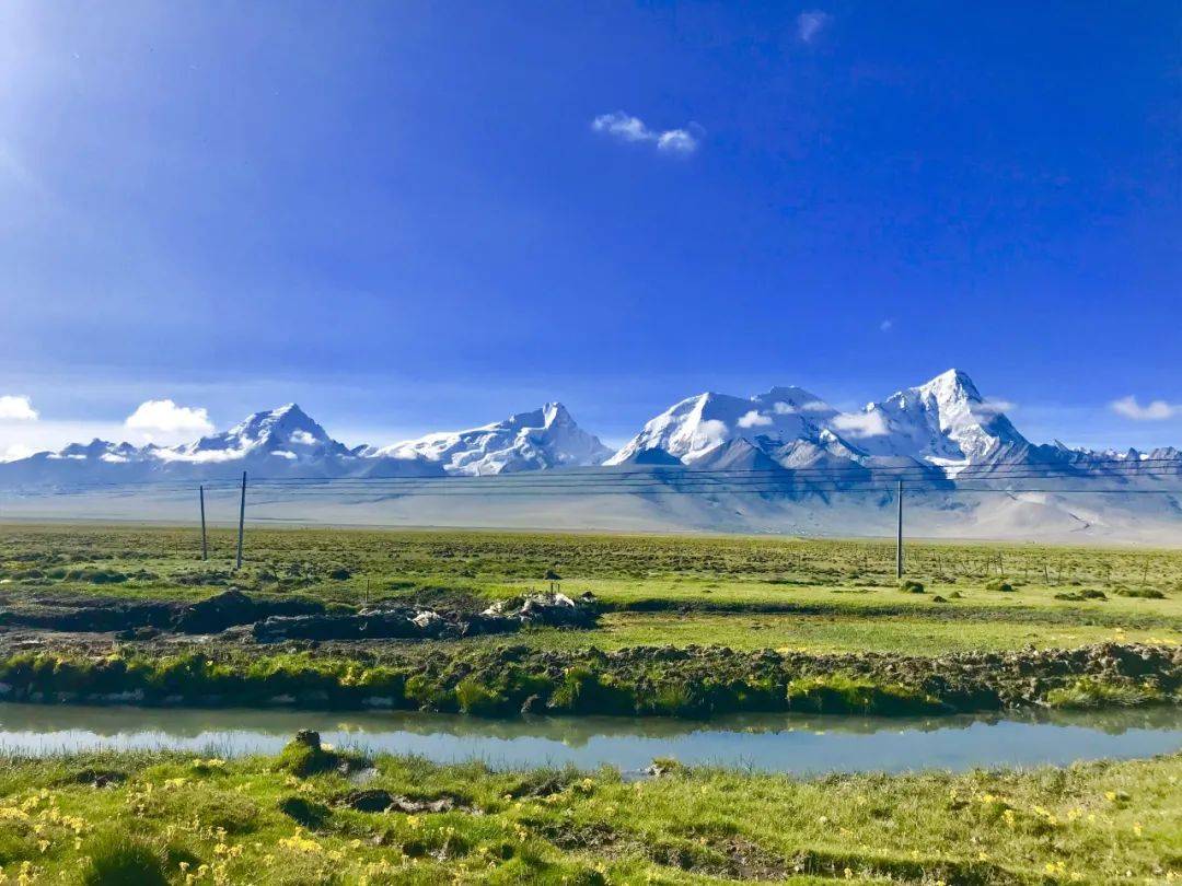 被四大草原"硬控"30秒_旅游_那曲_伊犁