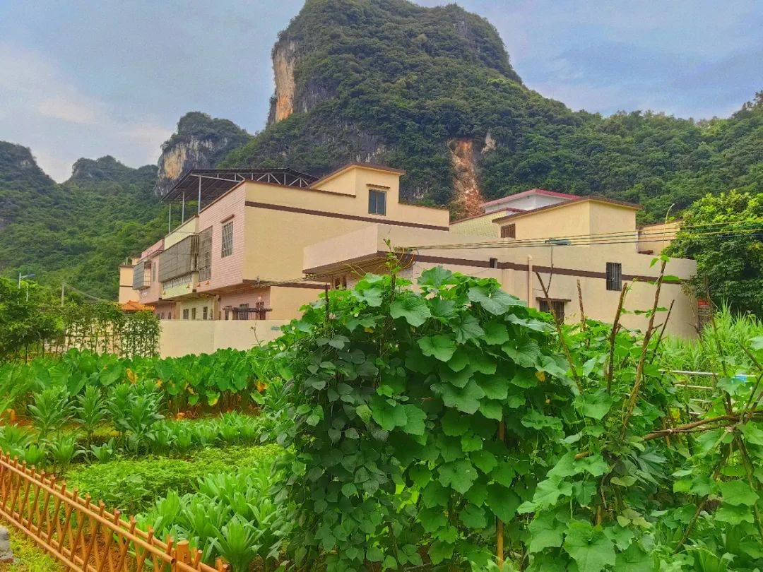 百县千镇万村高质量发展工程 | 英德黄花镇:"四小园""美丽庭院"绘就绿