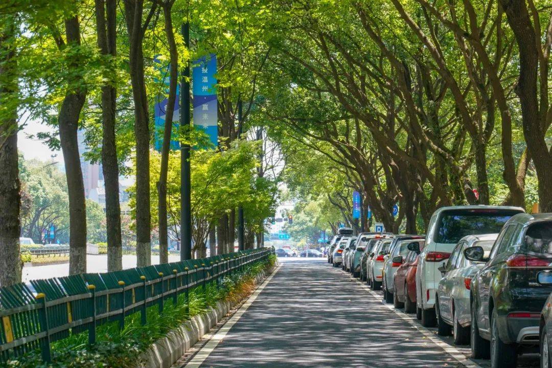 温州雪山路图片