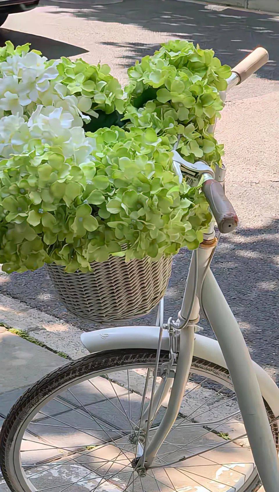 iphone壁纸 | 高清壁纸精选