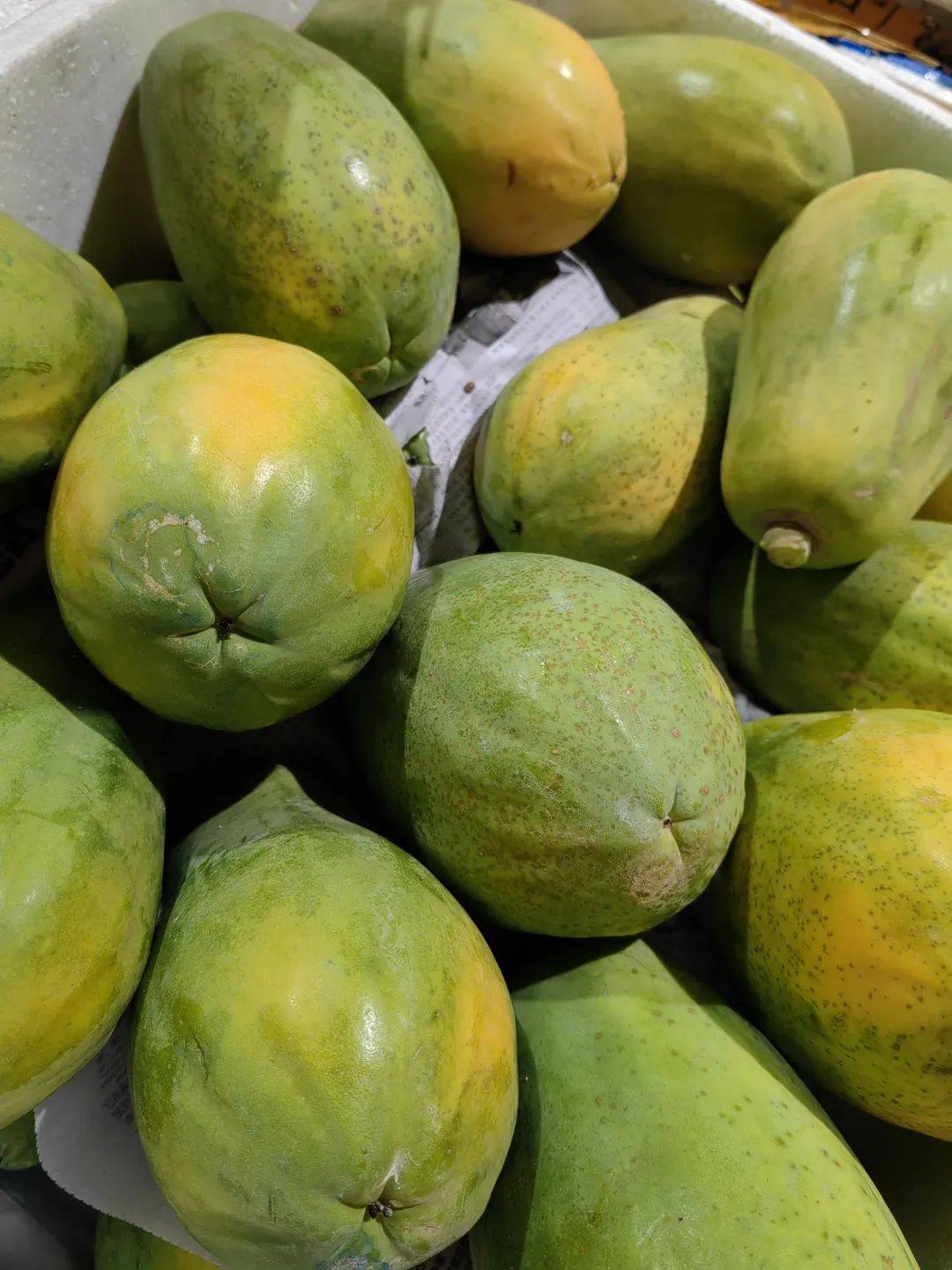 【树上熟牛奶木瓜】4-4.5斤装29.9元!果肉密度大,肉质紧实!