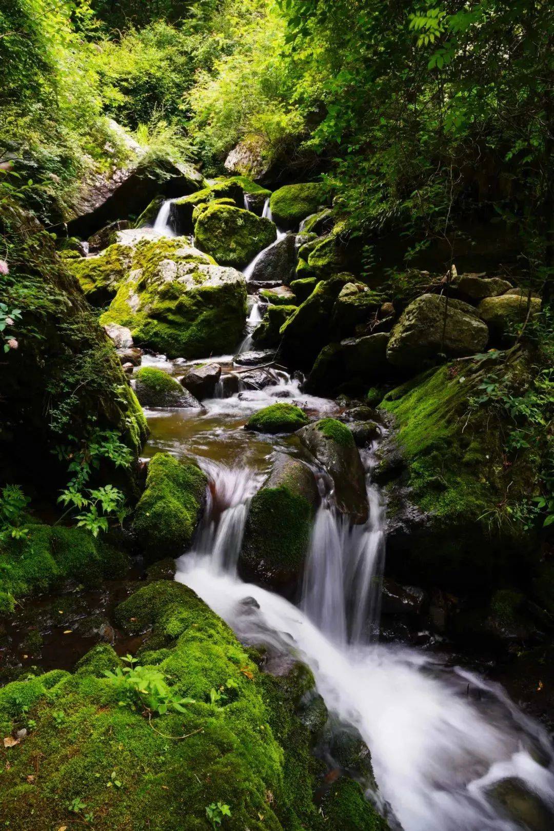 五凤山的风景图片