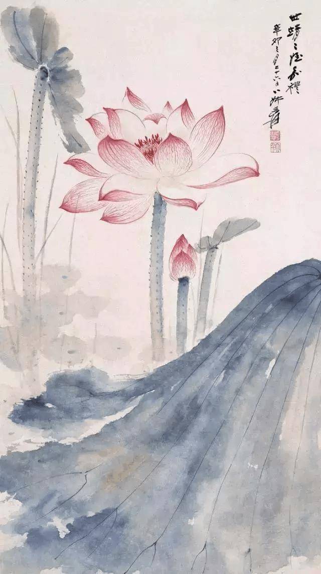 荷花怎么画 大师图片