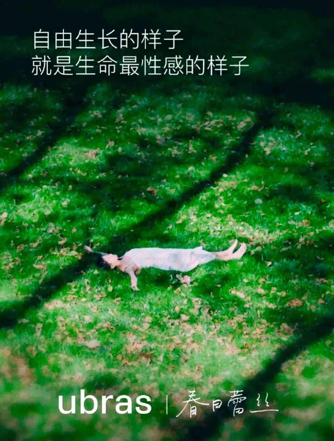 43自由奔跑的时候会有个声音:两个黄鹂鸣翠柳一行白鹭上青天感觉前路