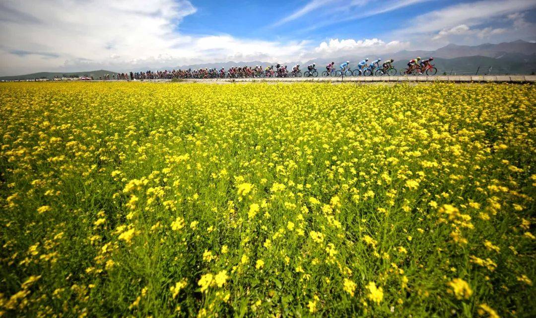 海北藏族自治州,海西蒙古族藏族自治州,16日晚在海西州乌兰县茶卡镇