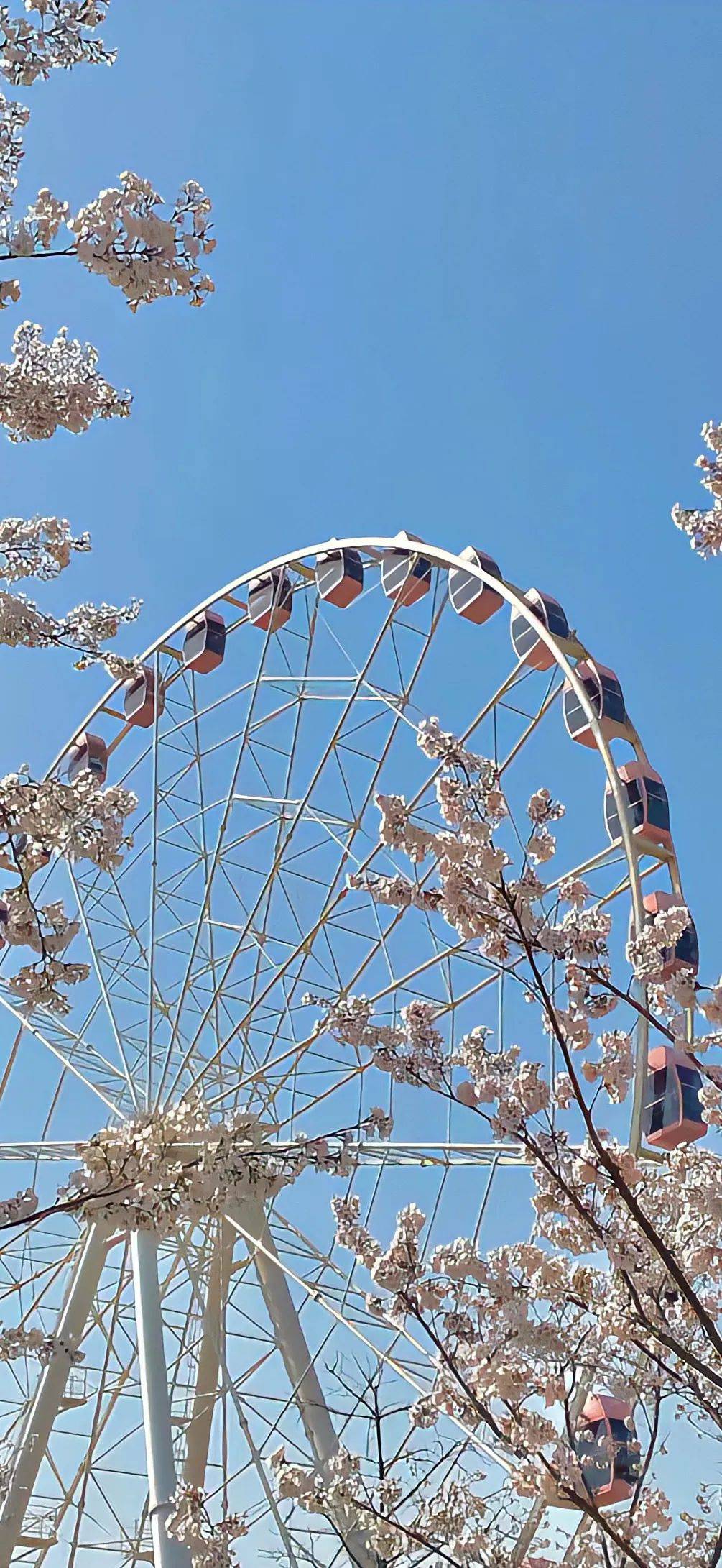 壁纸 | wechat封神全面屏壁纸