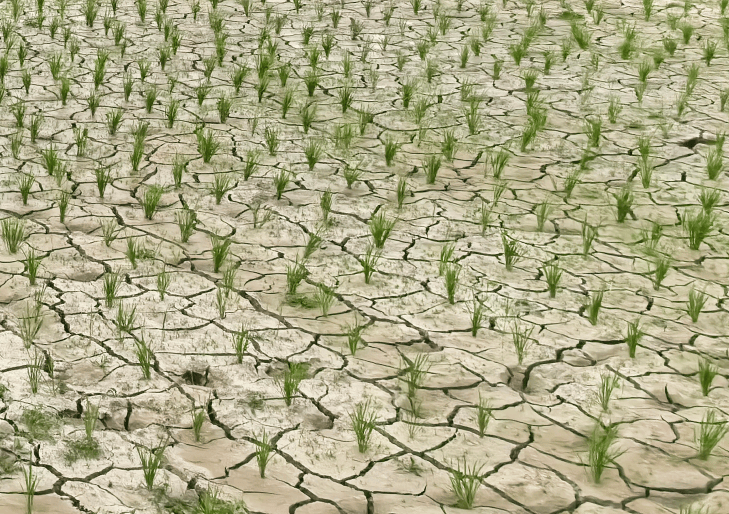 遵义消防"送水"进田间,抗旱解民忧!