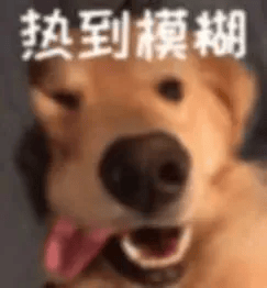 热的受不"鸟"了!一级保护动物池鹭热晕在居民家中