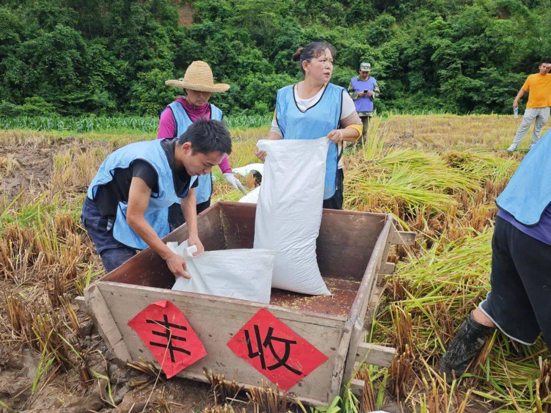 藏粮于技 传承农耕文化 共享丰收喜悦