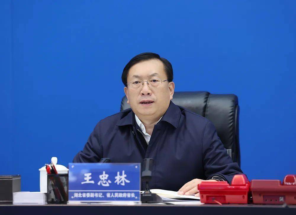报道显示,湖北省委副书记,省长王忠林已明确兼任湖北省委金融委员会