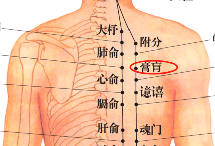 膏盲准确位置图和功效图片