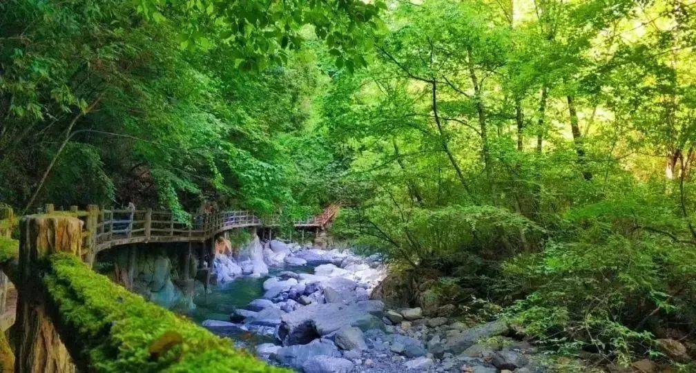 岚皋旅游暑期大优惠来啦!多个景区对学生老师免门票!