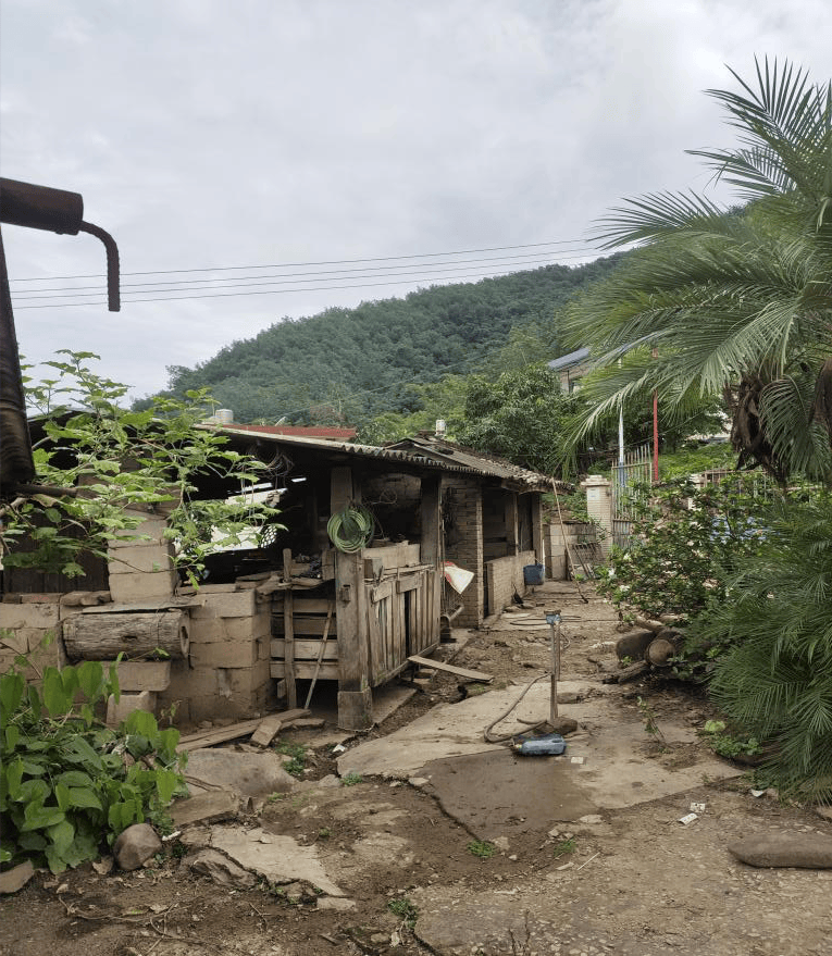 关累镇坝荷村委会布里小组恭喜登上"红榜"的社区,村小组,"黑榜"的要