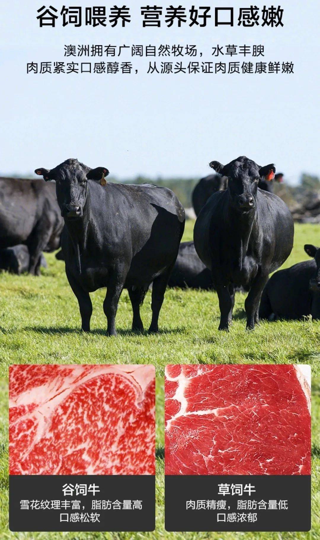 整条原切不是边角料,只取最精华部分,澳洲和牛m5级别/谷饲30