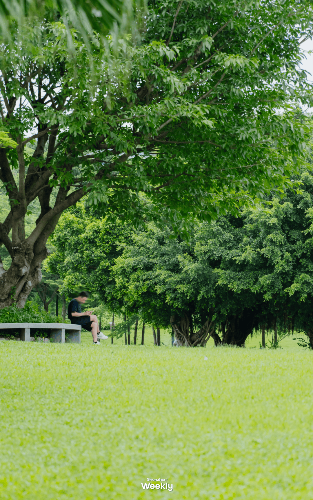 来深圳,来中山,寻找属于自己的「阿勒泰」
