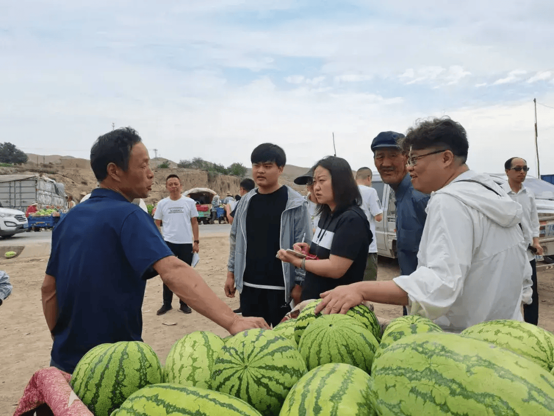 先后来到高湾镇住寨村硒砂瓜交易市场,甘肃金杭瑞建材科技有