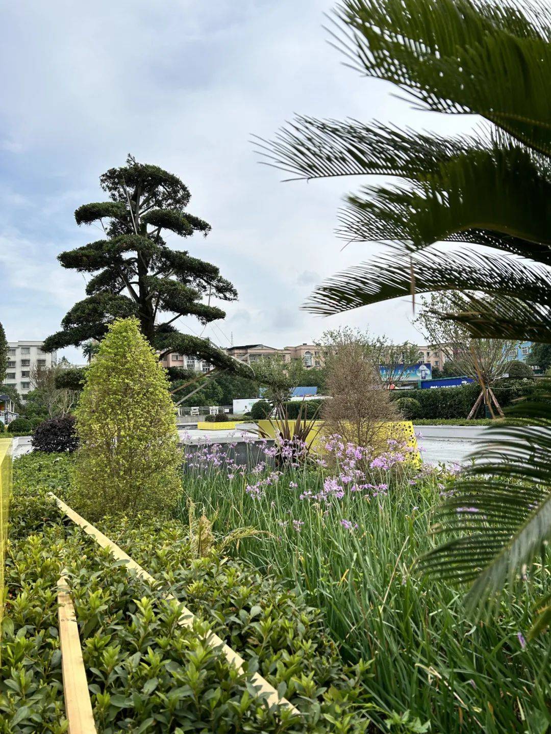 安顺_娱乐_改造