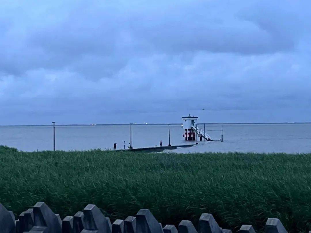 仲夏夜的村庄,小岛的梦 | 8月3日-4日 "一起在横沙岛的夏天"音乐旅行