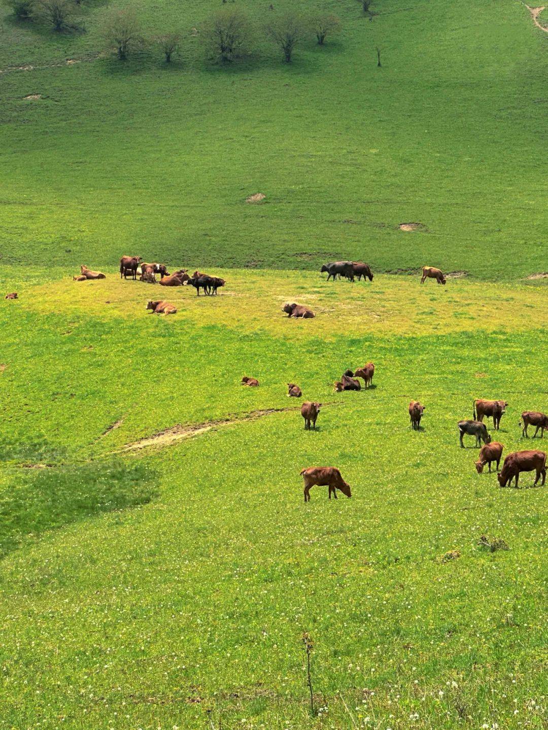 黄安坝科普教育基地—亢谷市级旅游度假区(亢家寨景区)—厚坪龙盘度假