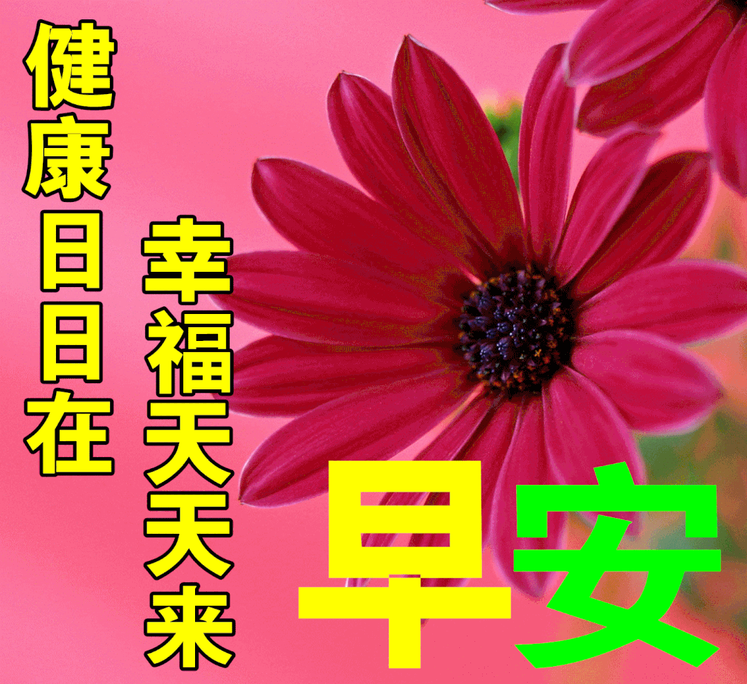 7月16日最漂亮早上好动态表情图片及早晨好动图美图大全 健康是一种