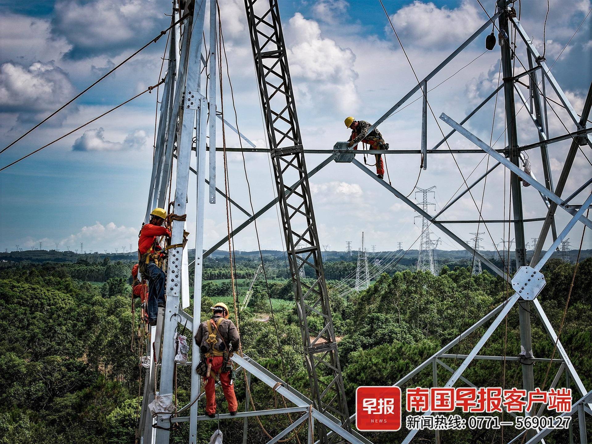 组图丨高压线上的"舞者"