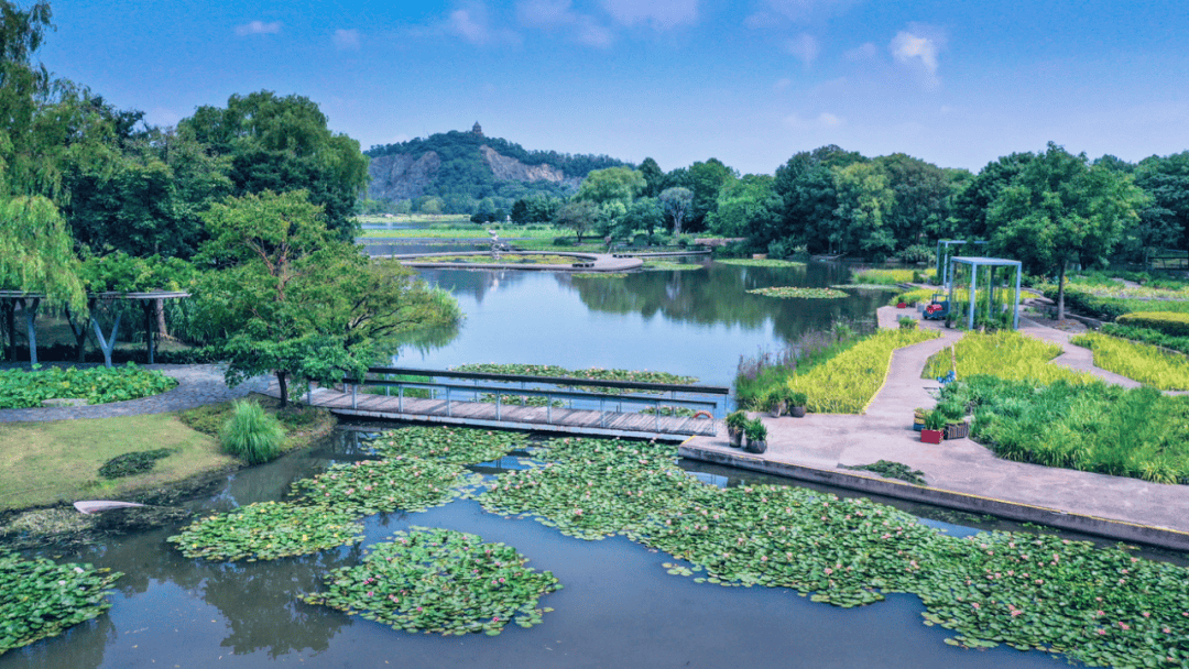 暑假期间,上海欢乐谷,辰山植物园,玛雅海滩水公园,方塔园,醉白池公园