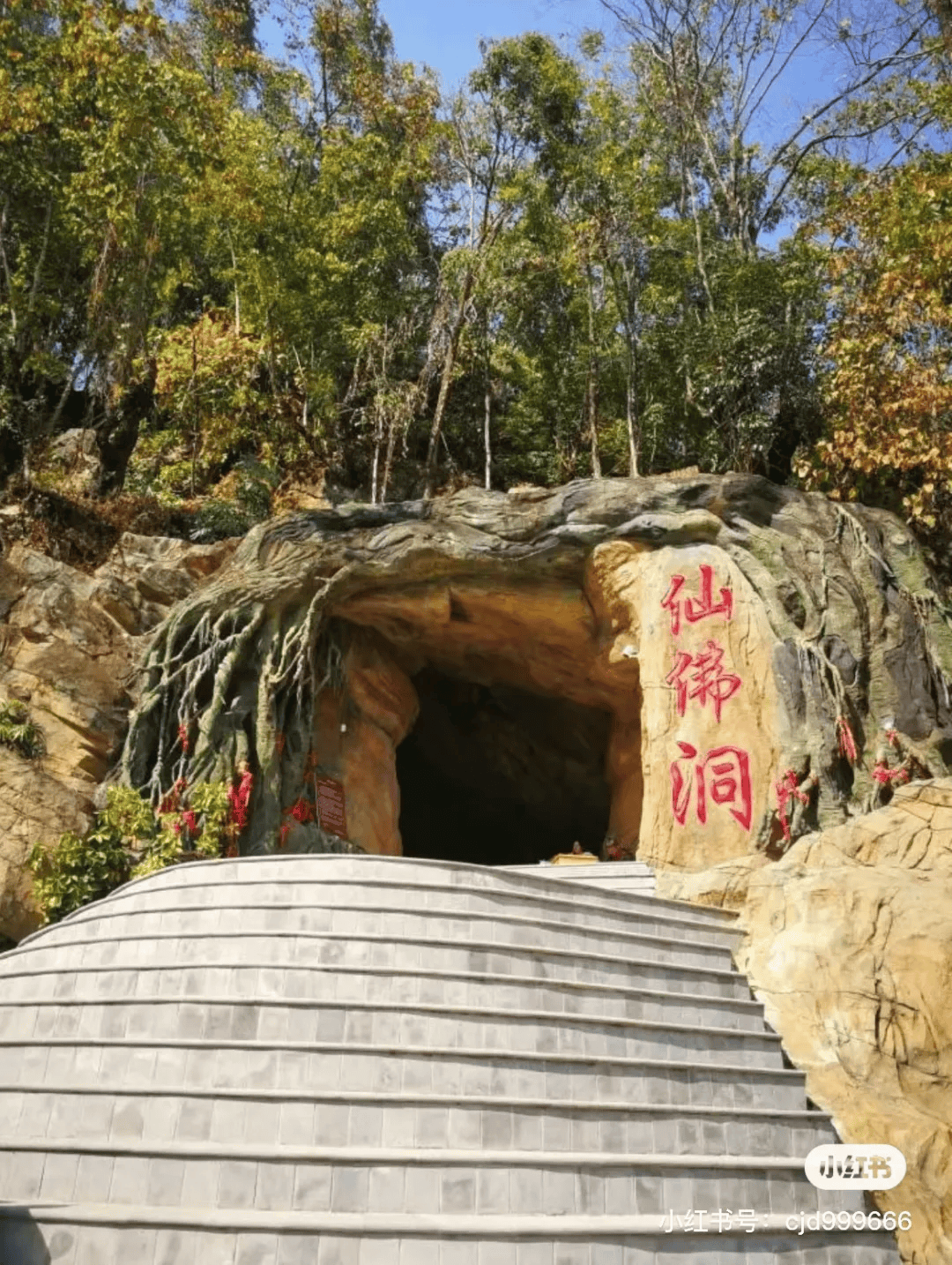 出发·去旅行 | 州庆"小长假",来芒市沉浸式旅游吧!_景区_大金塔_孔雀