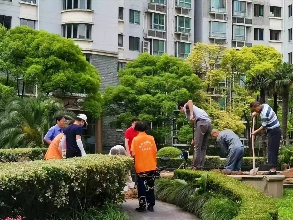 潮新闻🌸澳门最准一肖一码一码公开🌸|深圳园山街道：义诊进军营，护航官兵健康