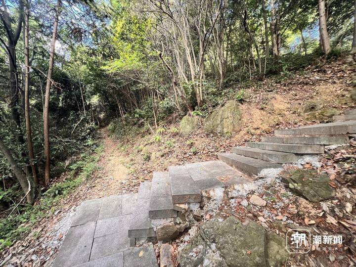 杭州西山游步道修复完成:游客登山体验好,还要多谢特殊的"帮手"