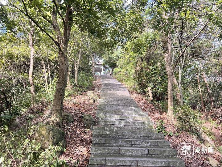 杭州西山游步道修复完成:游客登山体验好,还要多谢特殊的"帮手"