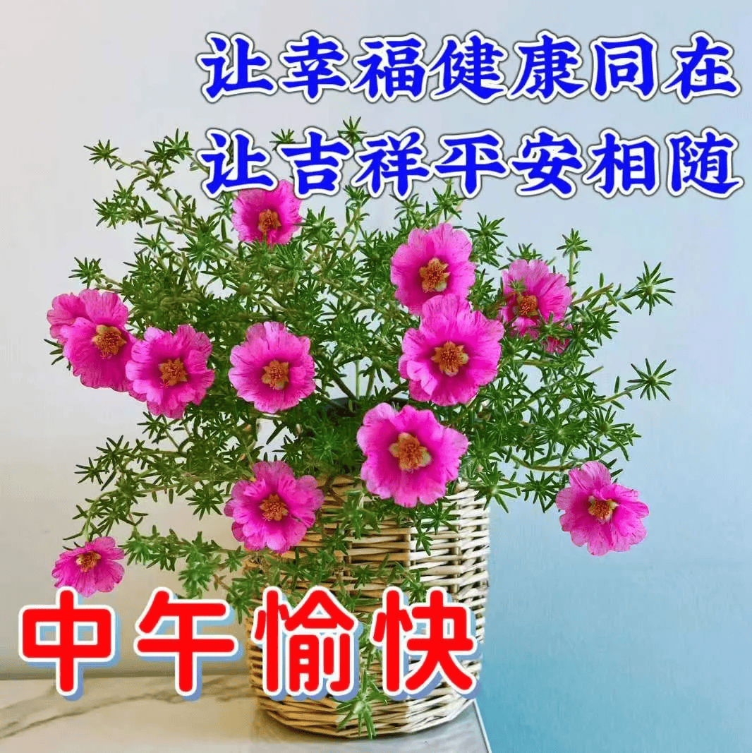 最美早安祝福图片表情包,祝福送健康,盛夏多保重!