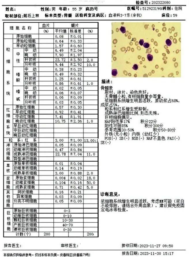 骨髓报告:骨髓细胞涂片:(x1000 瑞吉染色)外周血细胞分析图文报告:血
