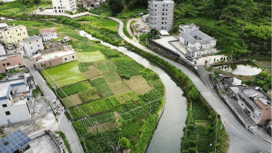 "筑梦"美丽圩镇,仲恺这支实践团助力丰顺八乡山镇建设绿美河道