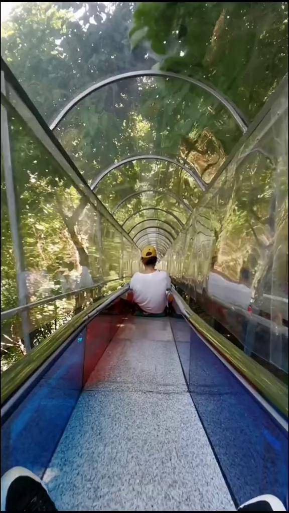 886米丛林滑道,穿越在丛林中,感受风景享受快乐,也是下山途径之一