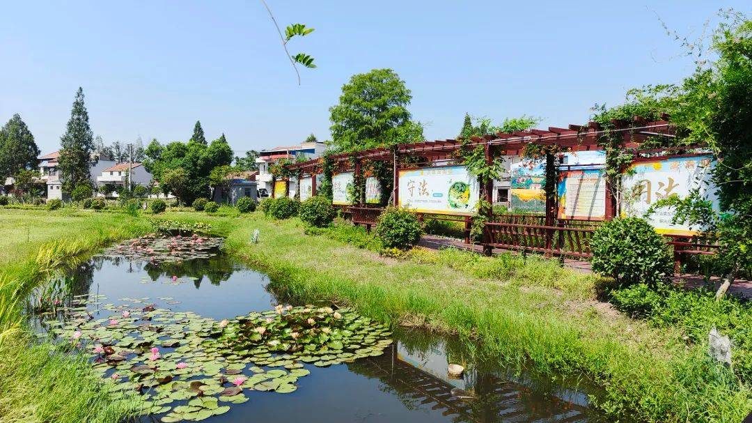 大悟金岭村风景区电话图片