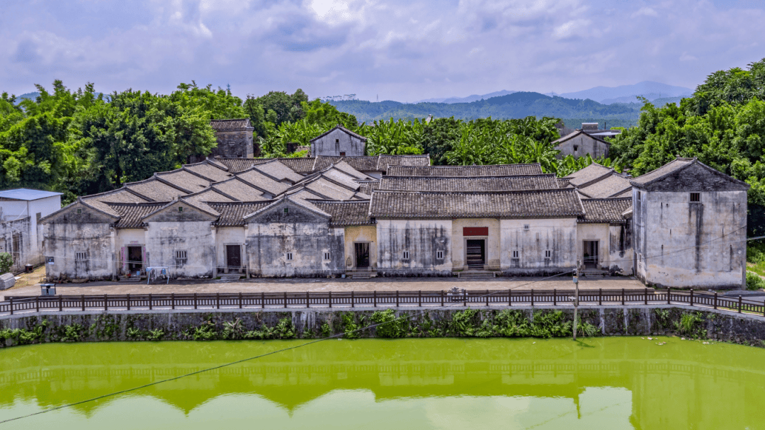 河源这条研学线路,火了!