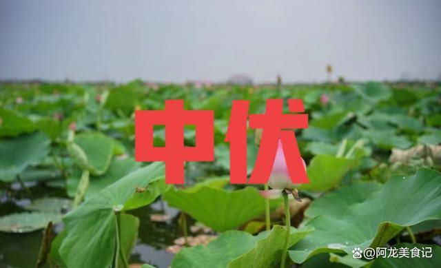 六月二十中伏,今年中伏不一般,有4个坏消息,老人孩子更要注意_高温_天气_时期