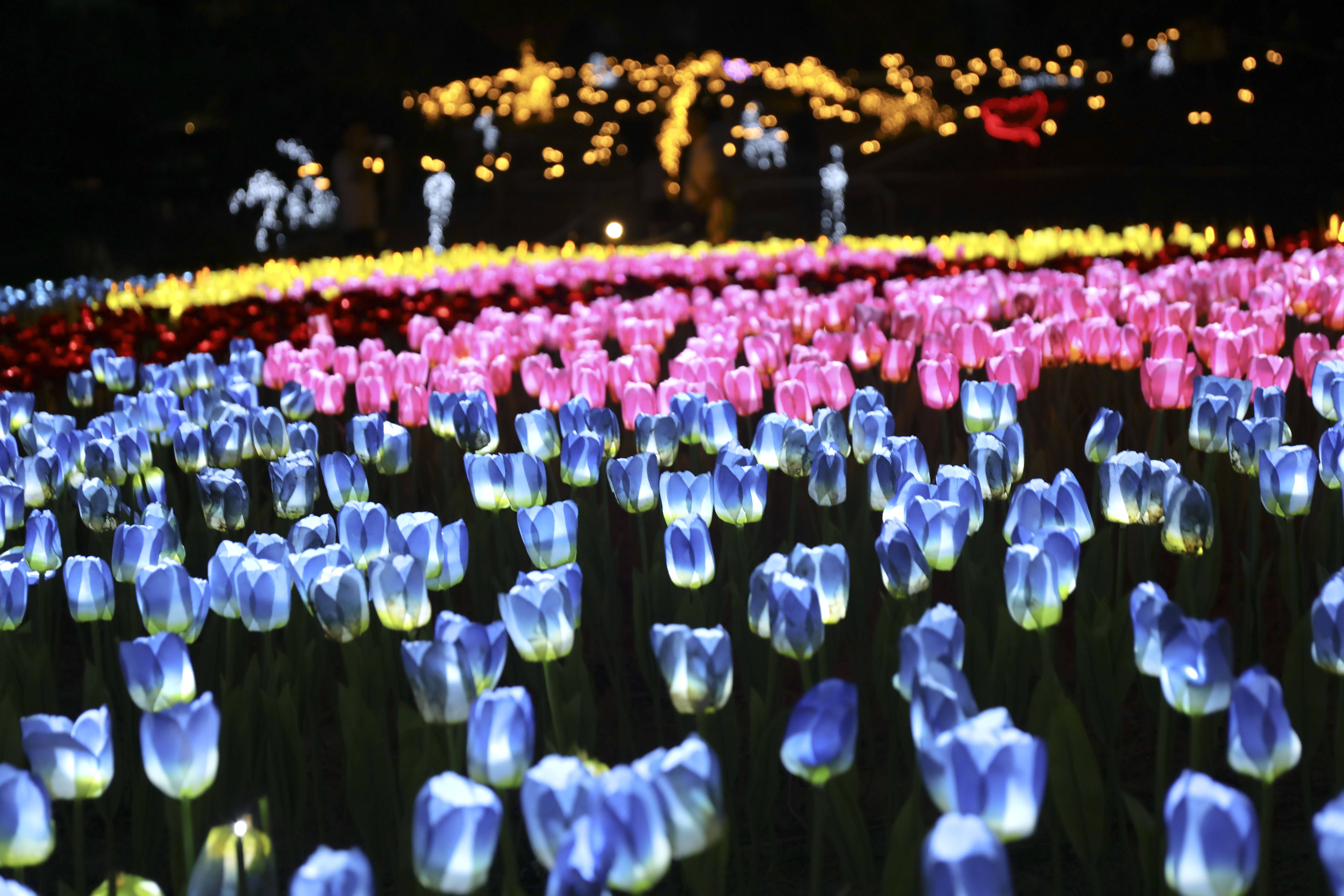 浙江桐庐:花海灯光秀 古村享浪漫_荻浦村_江南镇_互动