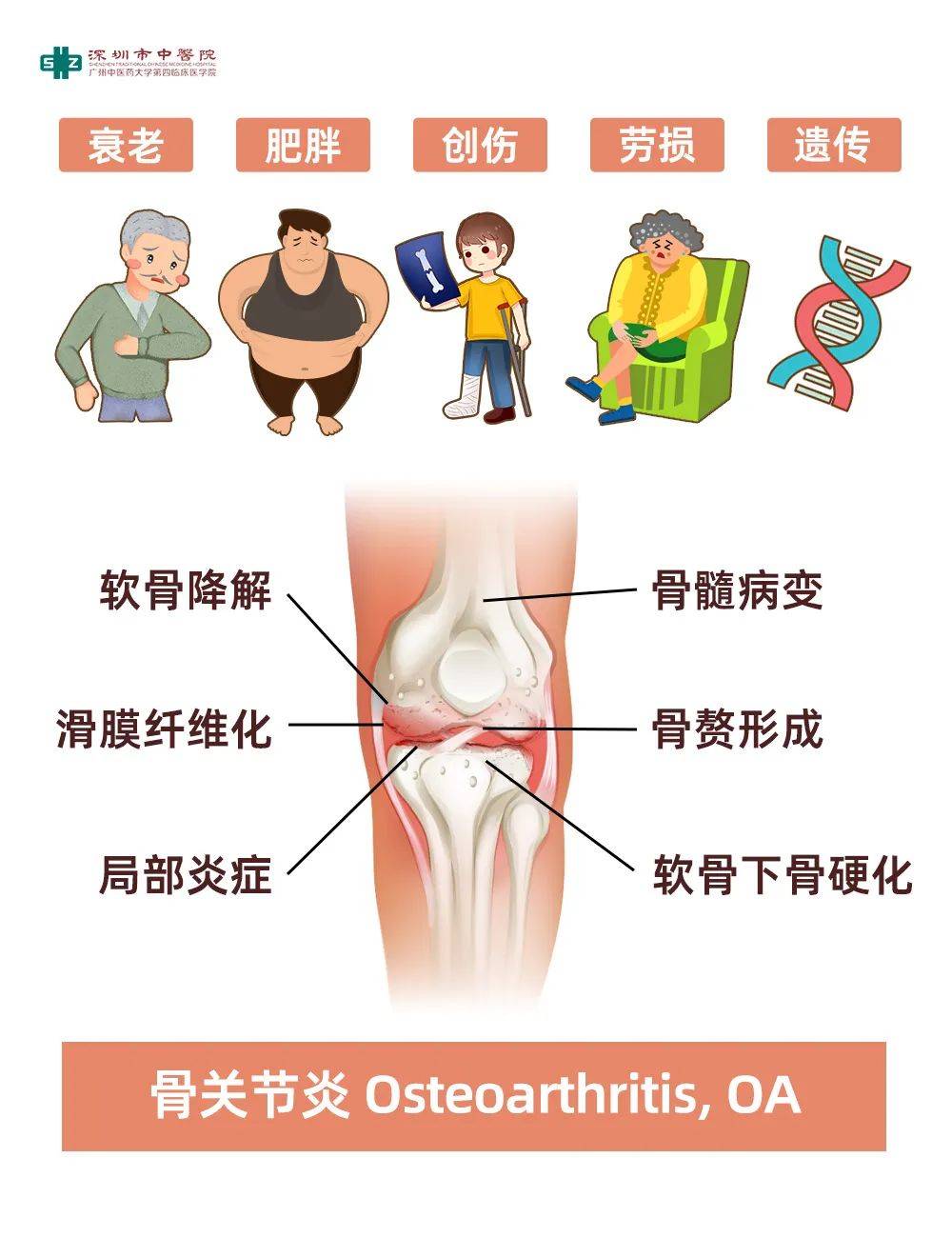 膝痹西医诊断图片