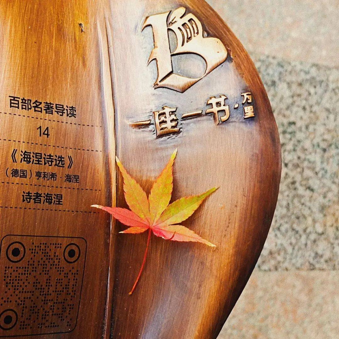 🌸晨视频【新澳门内部资料精准大全】_“合成”大合肥！合肥城市合成生物产业创新加速营圆满完成