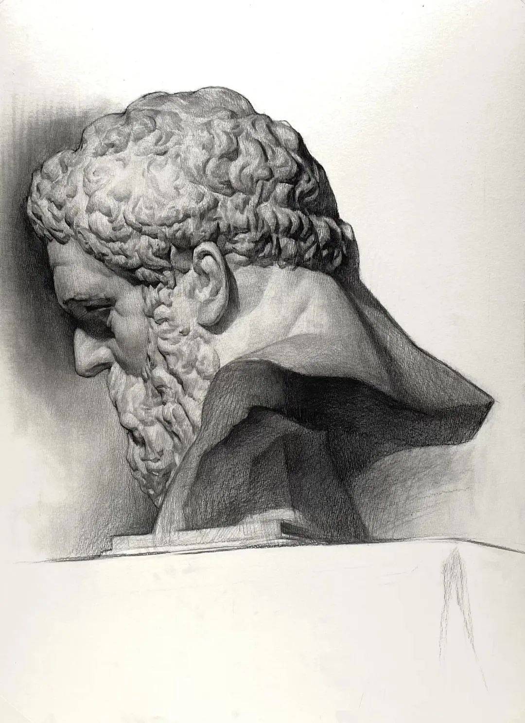 同济大学造型高手石膏像素描