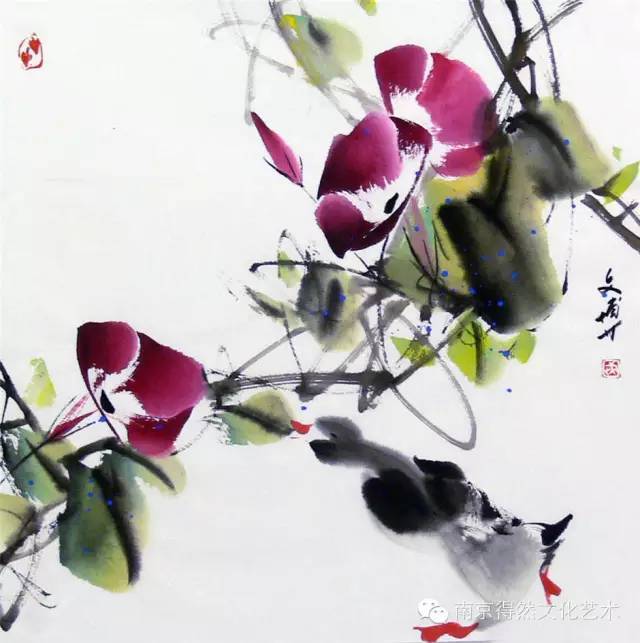 一百幅国画牵牛花,太美了